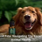 CBD and Pets Navigating the Benefits for Animal Health