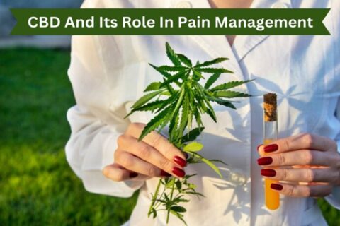 CBD and its Role in Pain Management