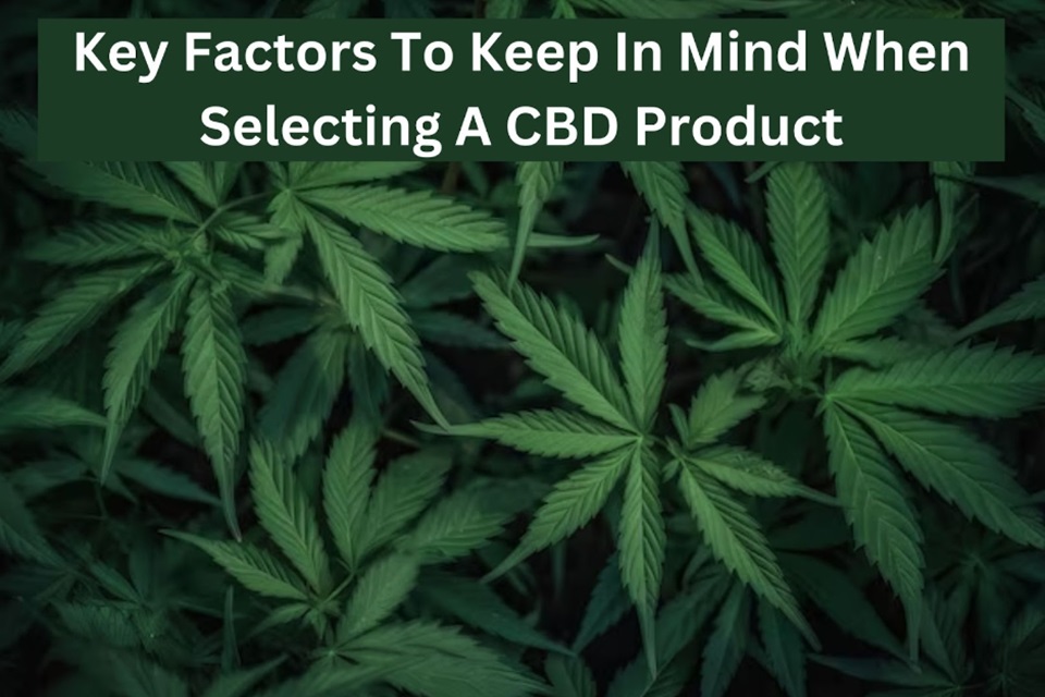 Key Factors to Keep in Mind When Selecting a CBD Product