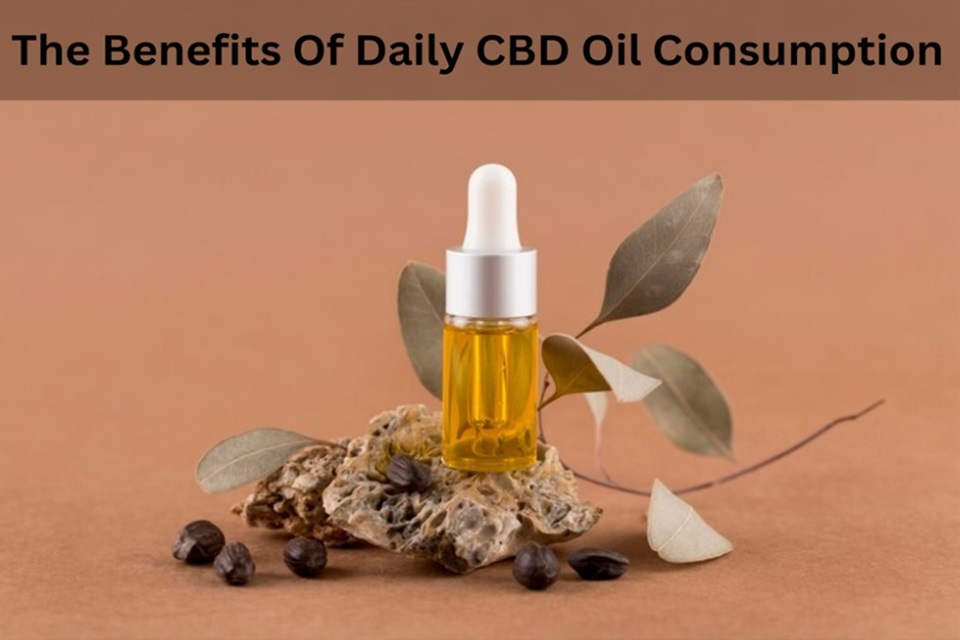 The Benefits of Daily CBD Oil Consumption
