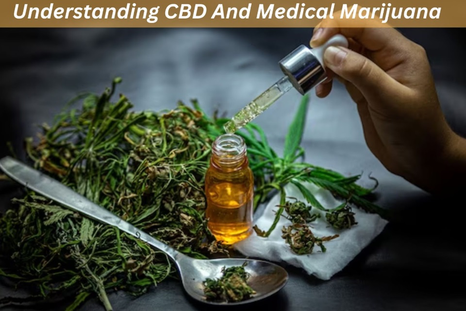 Understanding CBD and Medical Marijuana Your Informative Guide