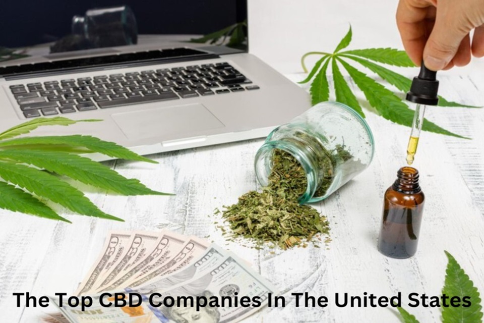 CBD Companies