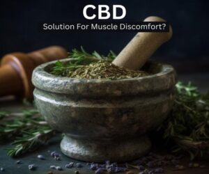 CBD For Muscle Pain
