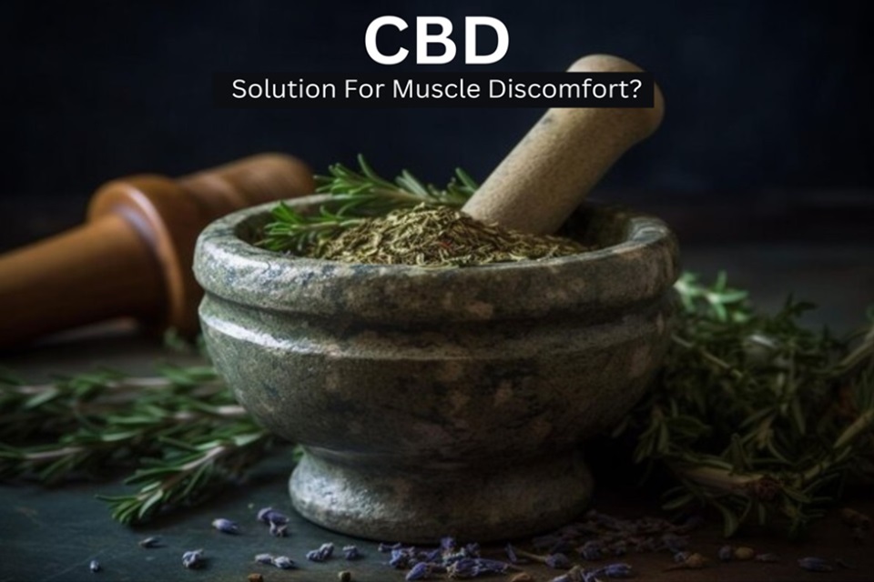 CBD For Muscle Pain