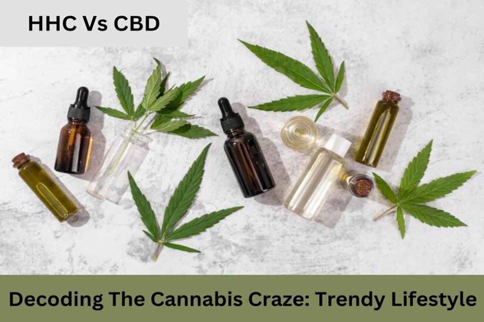 HHC Vs CBD