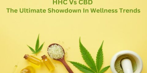 HHC vs CBD