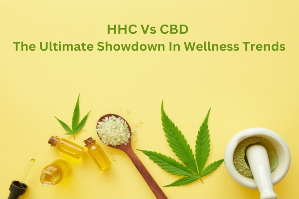 HHC vs CBD