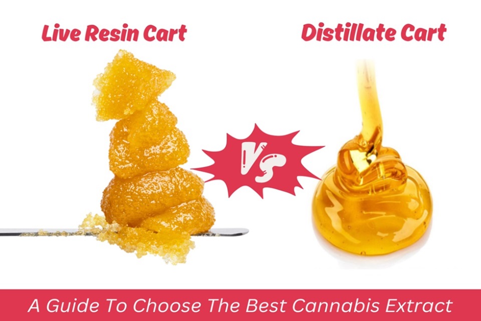 Live Resin Vs. Distillate