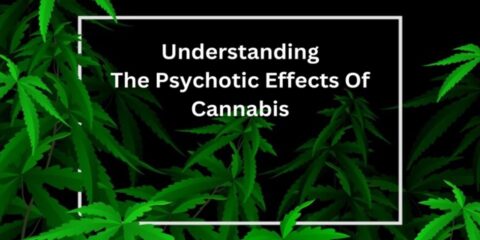 Psychotic Effects Of Cannabis
