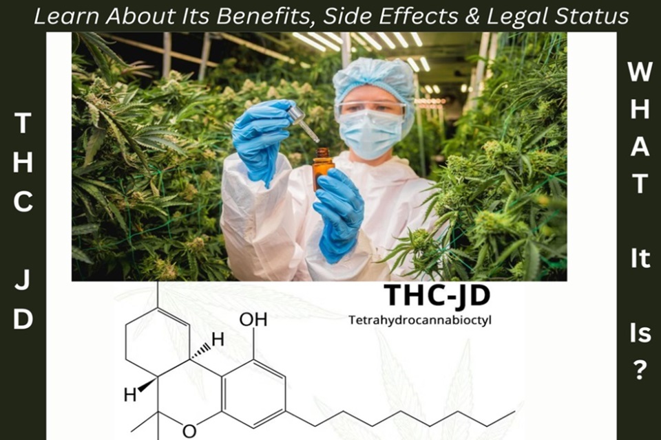 THC-JD