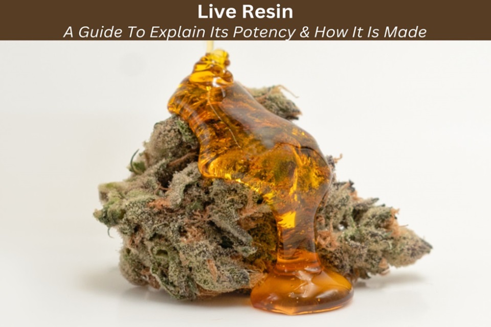 A Guide To Explain What Is Live Resin & How It Is Made For Higher ...